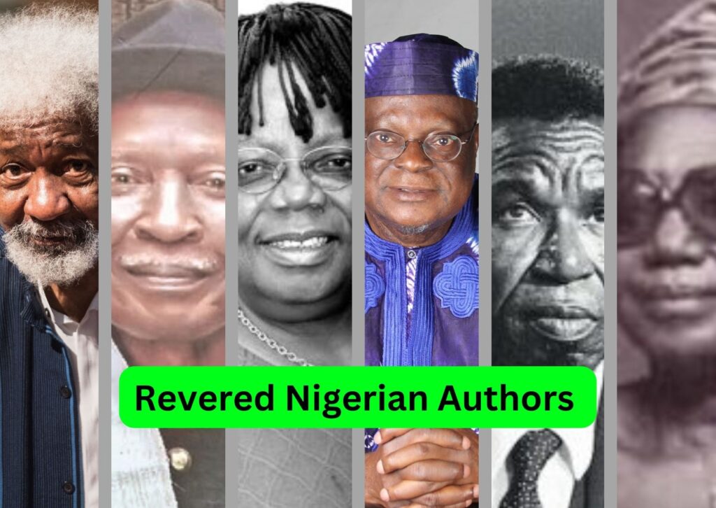 Nigerian Authors with writing Skills